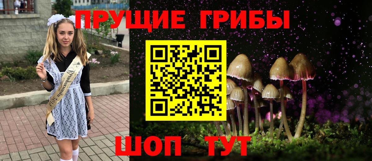 Галлюциногенные грибы мухоморы Кузнецк