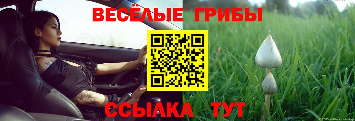 Галлюциногенные грибы мухоморы  Вход с VPN  Кузнецк 